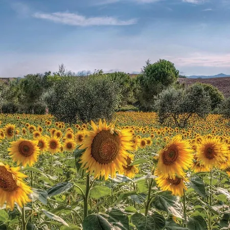Apartment Lucca Coiano